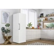 Gorenje FN619EEW5 szabadonálló fagyasztószekrény